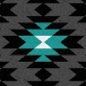 Meet your Posher, Jackson